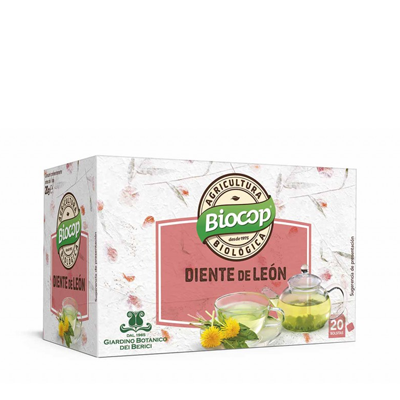 Infusió dent de lleó