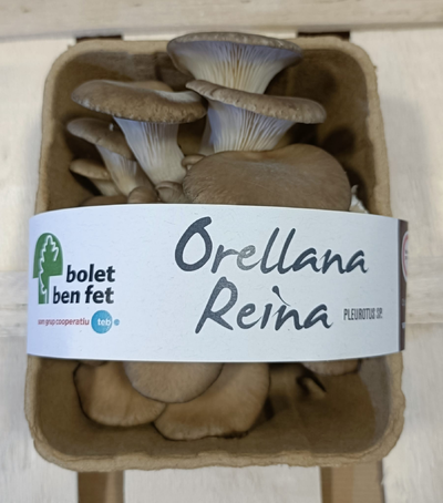 Orellana Reina eco 150gr 