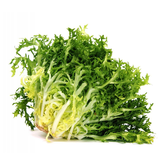 Escarola eco