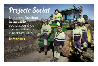Projecte social Projecte social