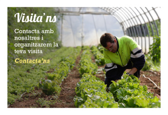 Visita'ns Visita'ns